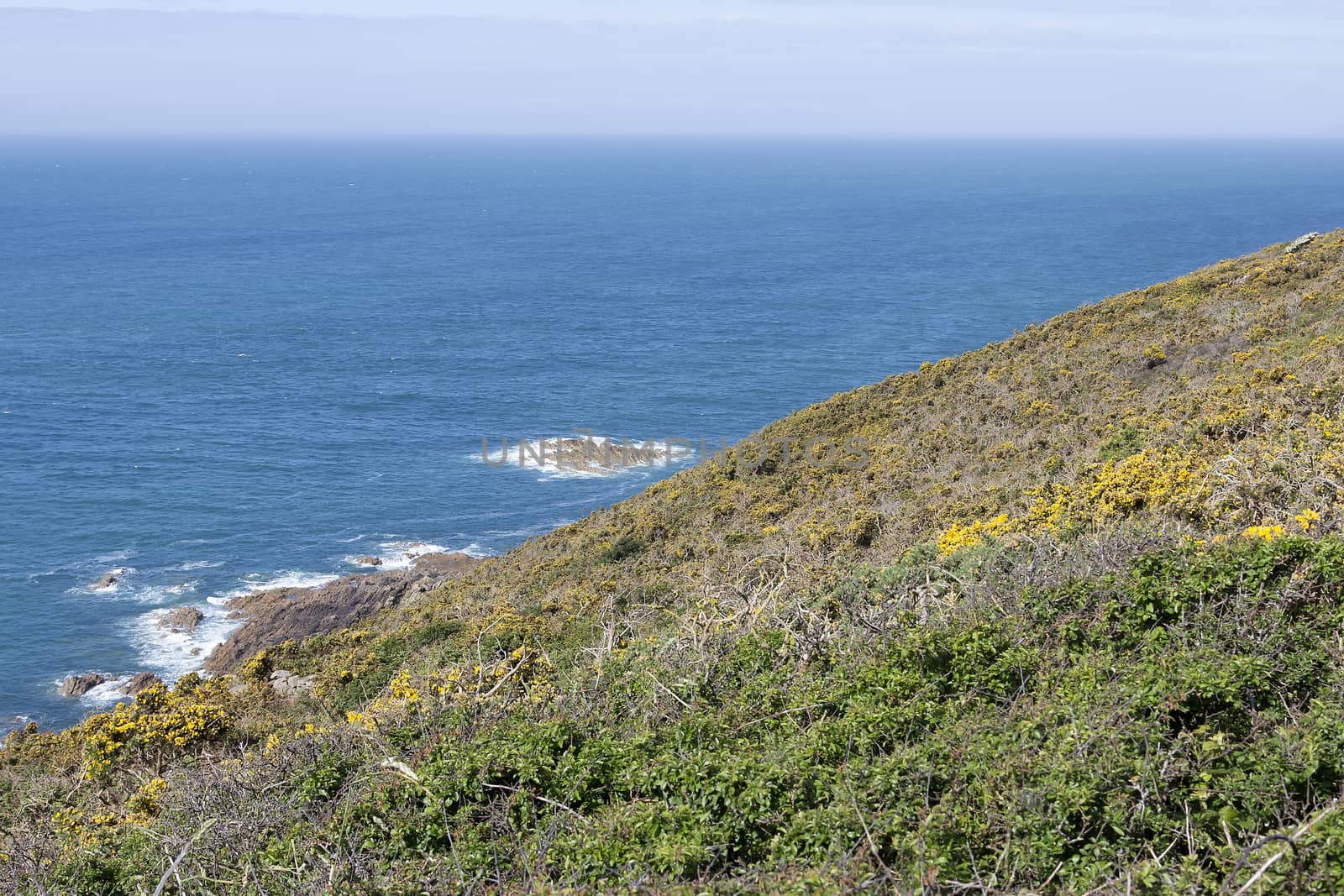 A slope with vegetation in front of the ocean