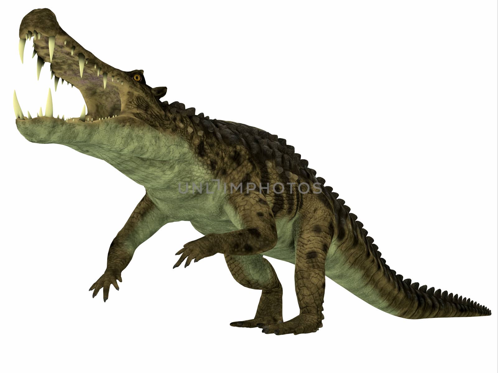 Kaprosuchus was a marine reptile that lived in rivers and swamps of the Cretaceous Period.