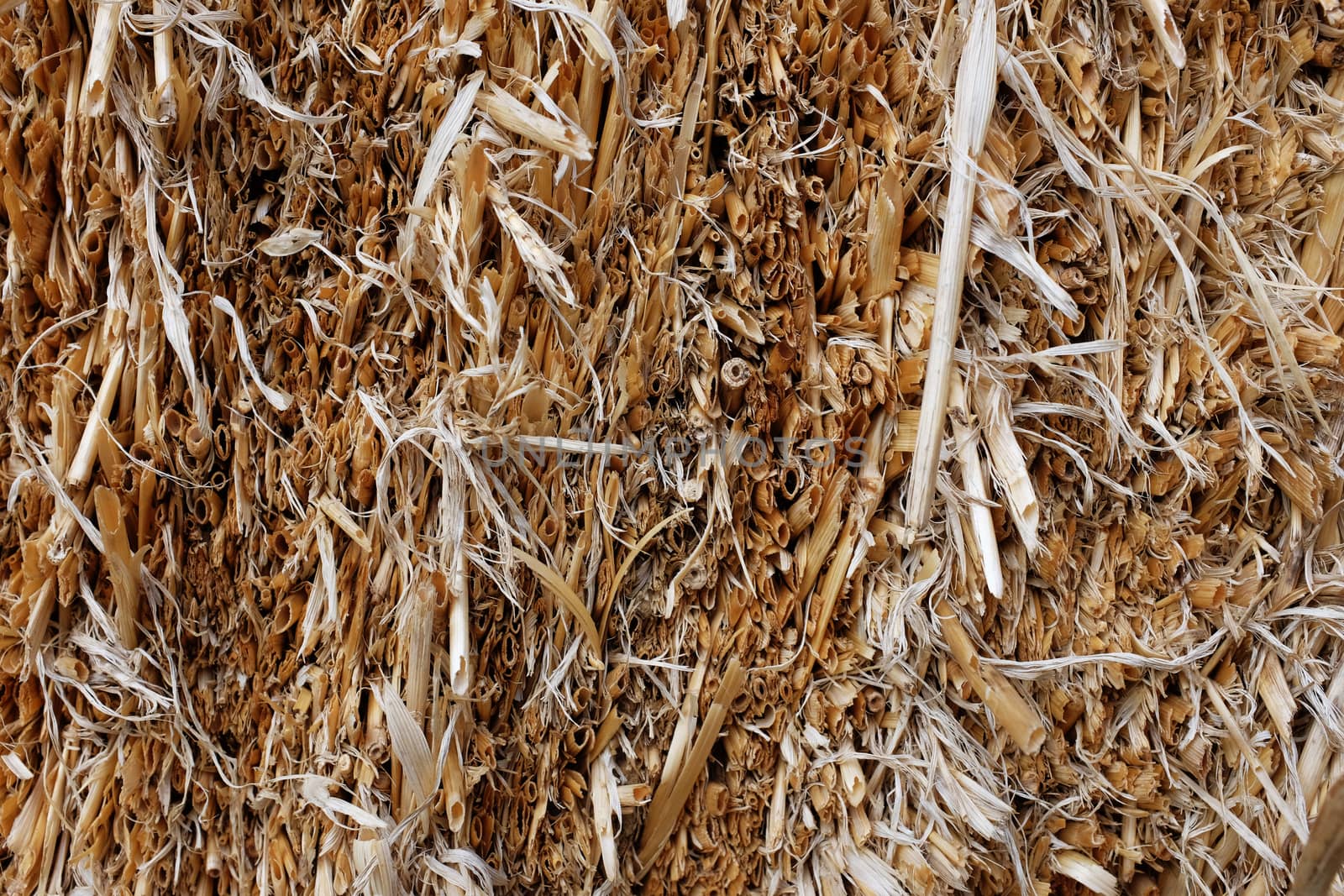 Cut ends of straw in a bale as an abstract background texture