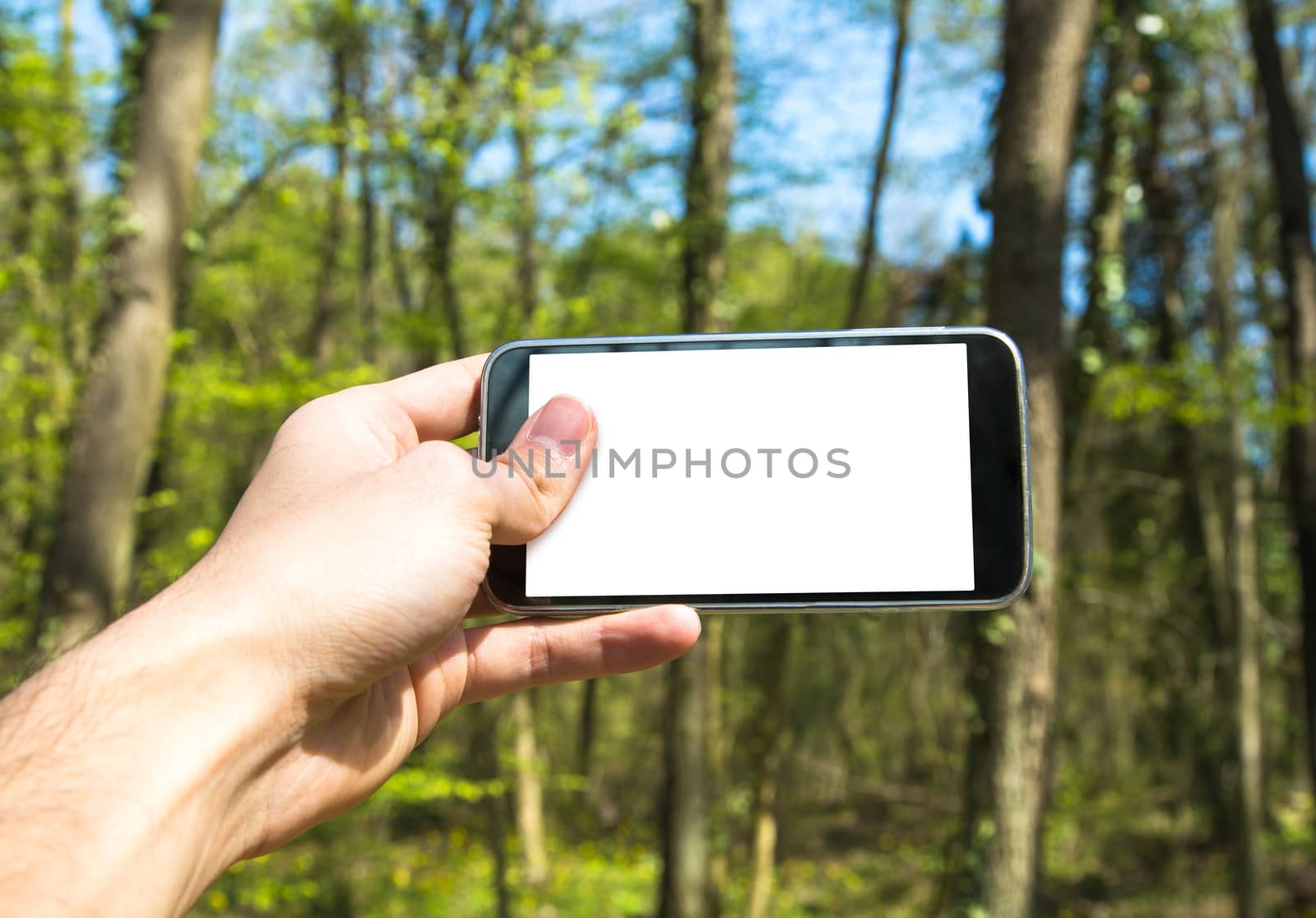 Front view of hand holding horizontal black smartphone with white blank screen among trees.