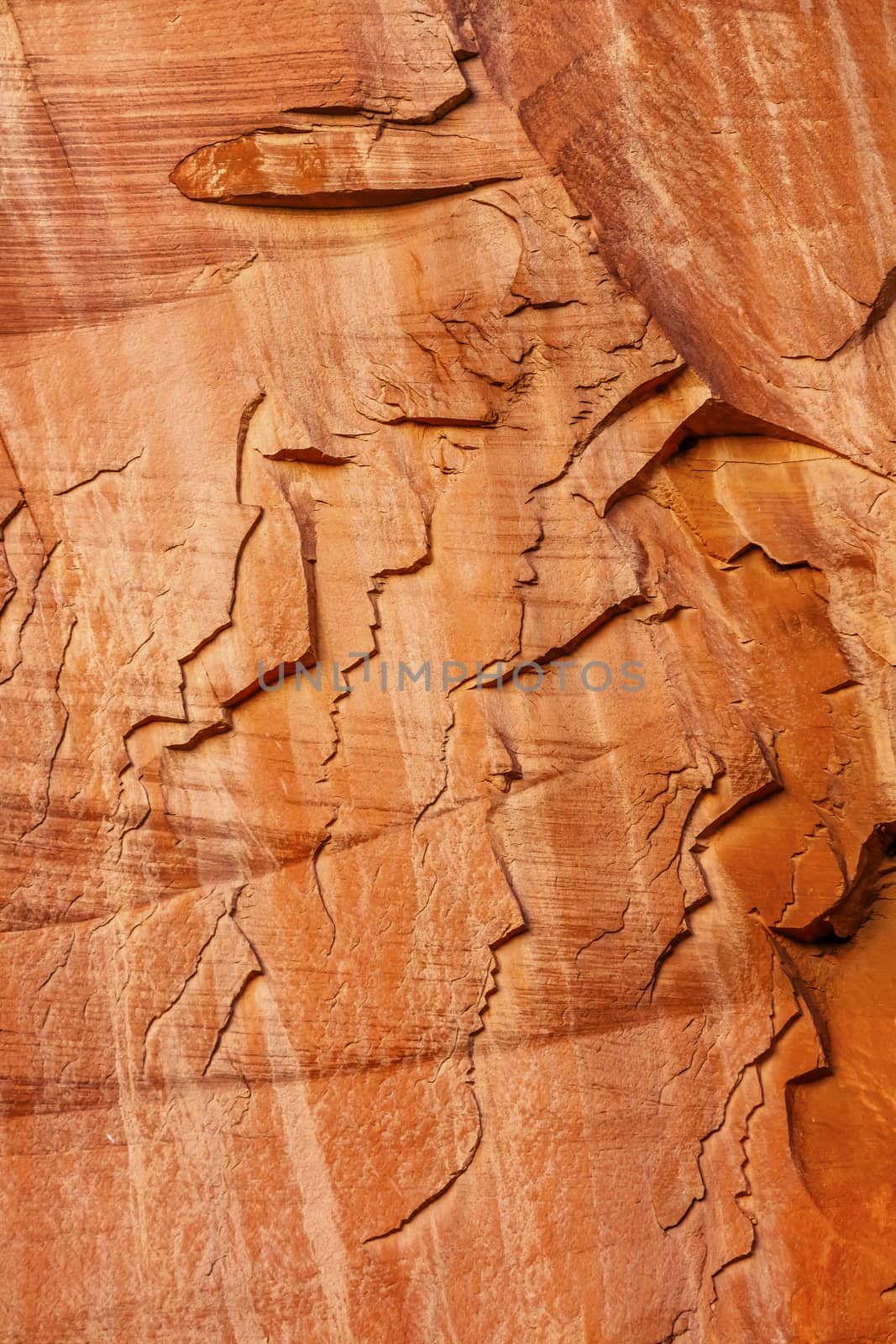 Sandstone Mountain People Abstract Capital Reef National Park Torrey Utah by bill_perry