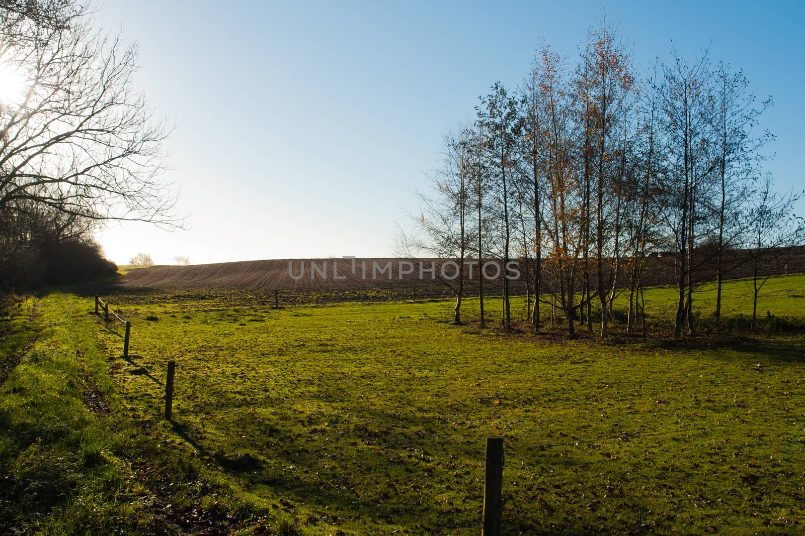 Green summer landscape of open hills and fields scenic view image