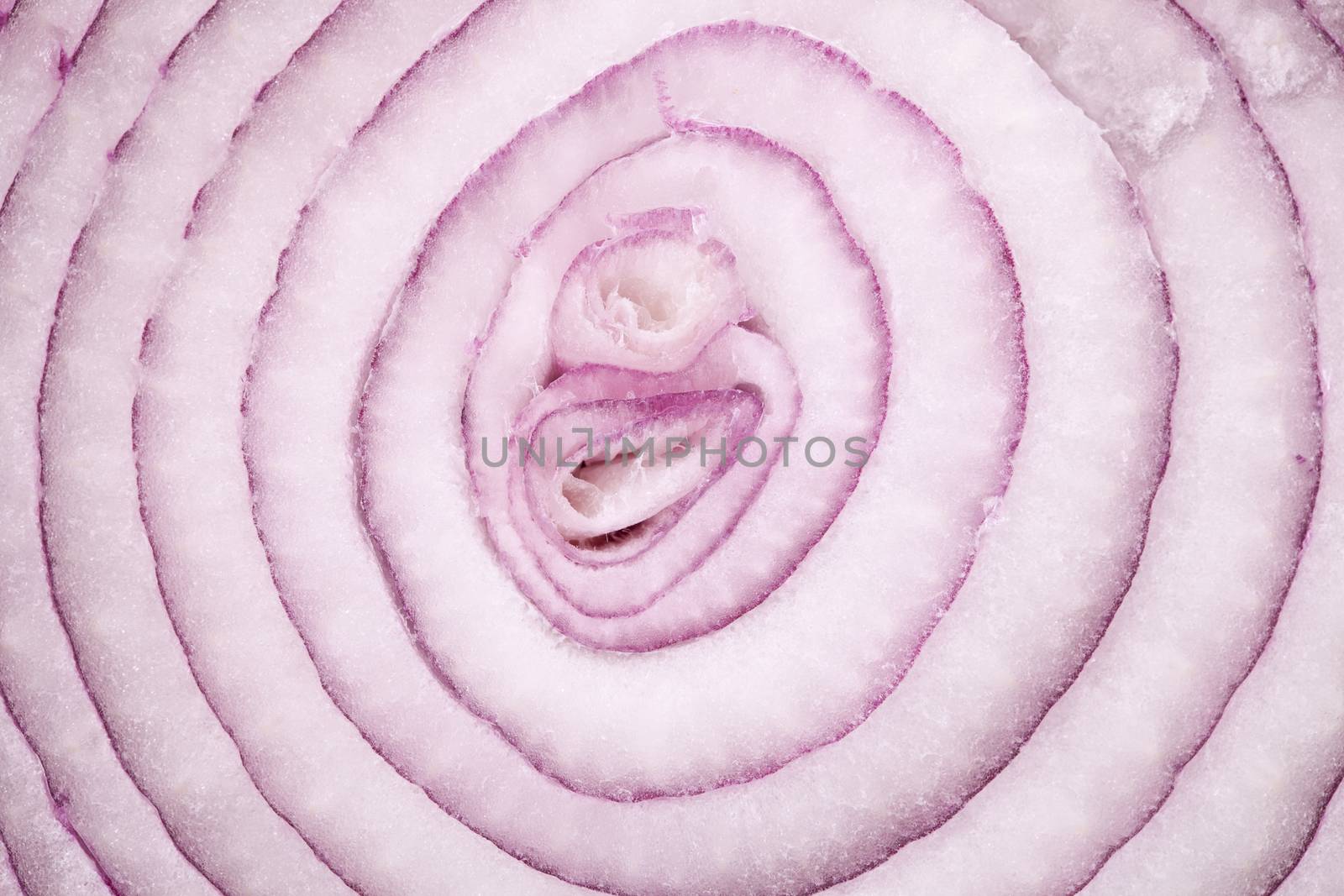 background of cut red onion