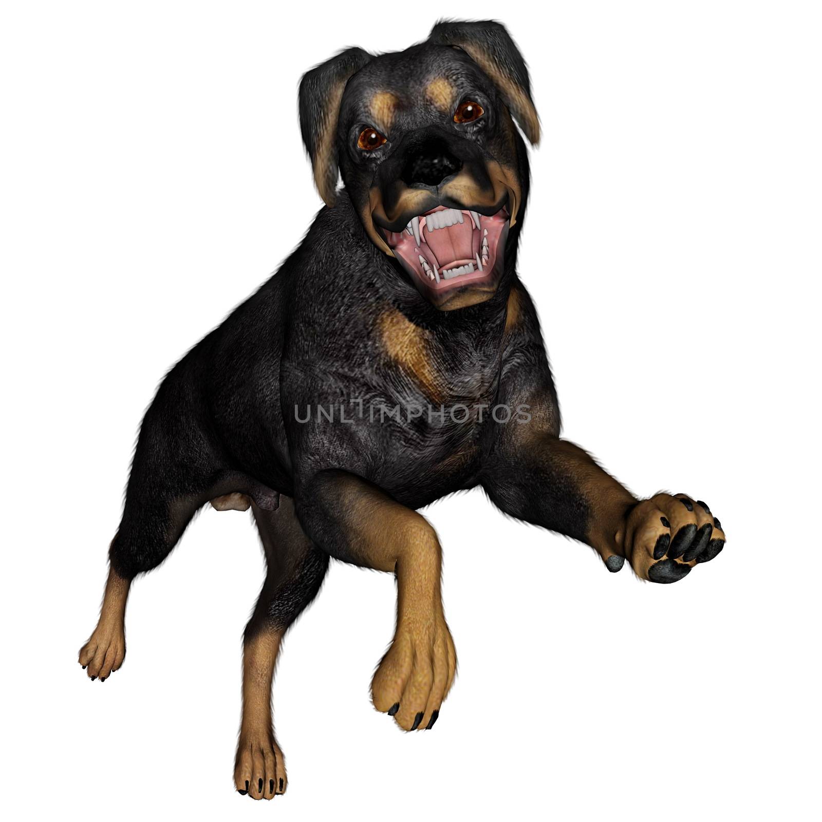 Rottweiller dog runnning - 3D render by Elenaphotos21