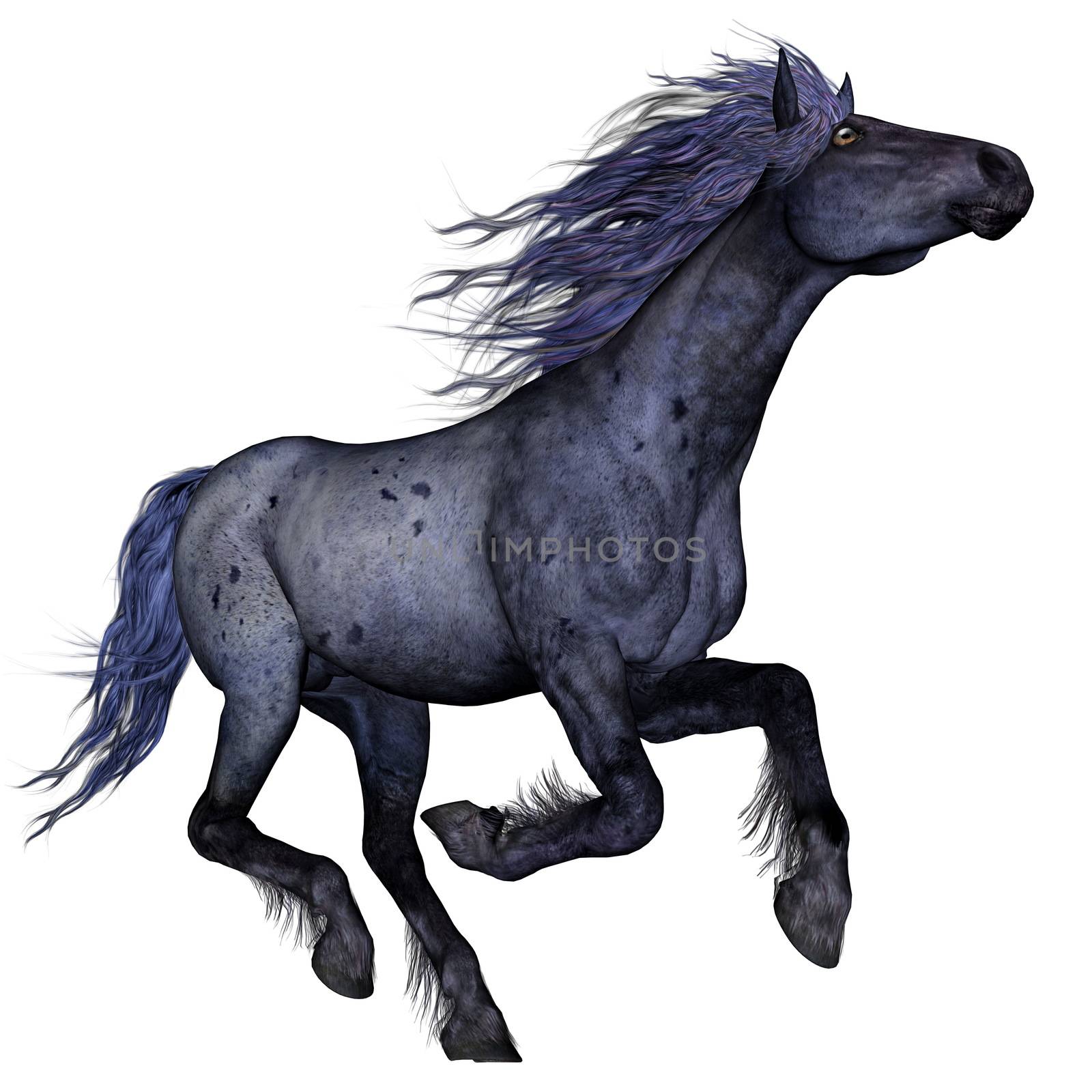 Black blue horse running - 3D render by Elenaphotos21