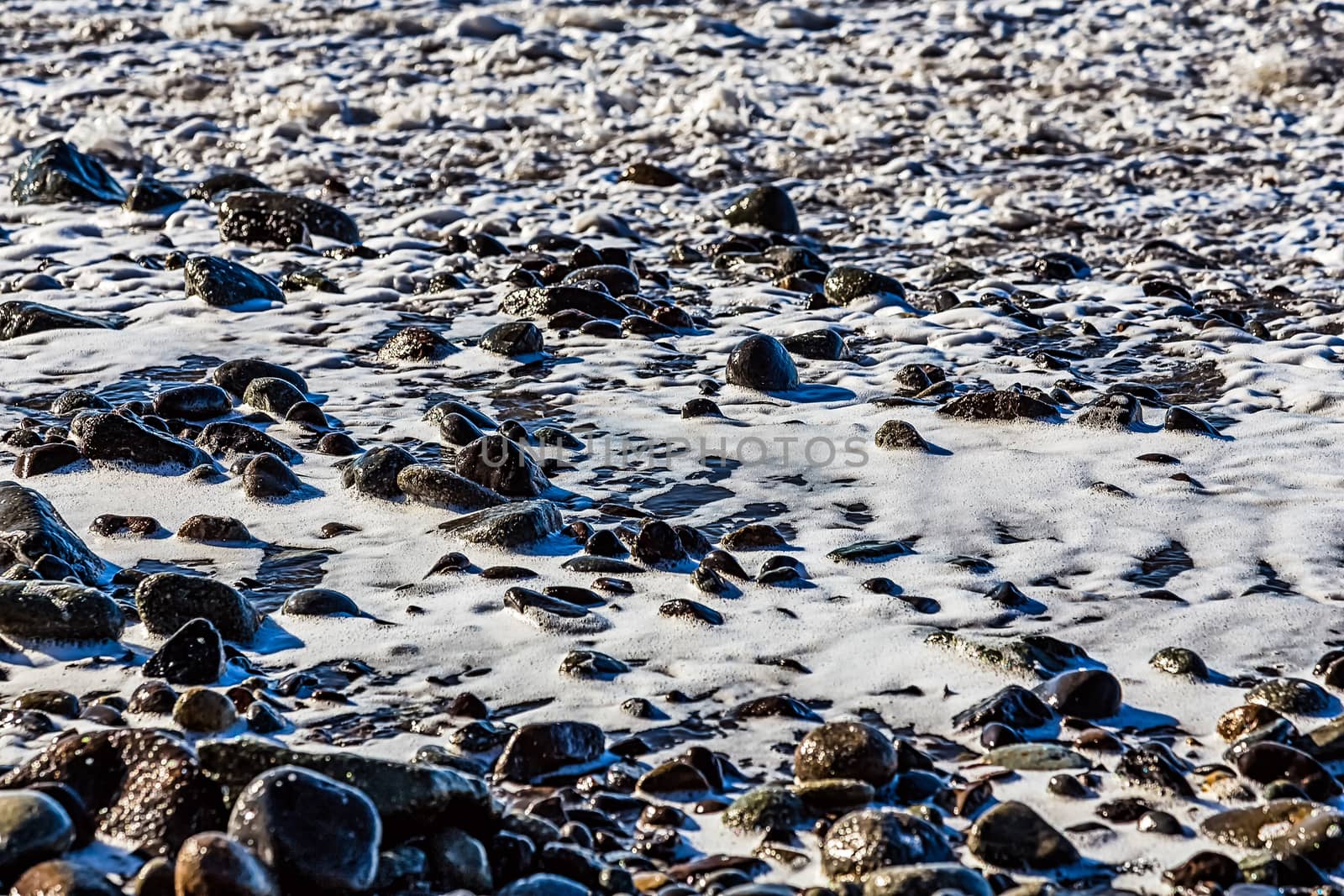 Stones in white foam on the beach coast or shore of ocean or sea