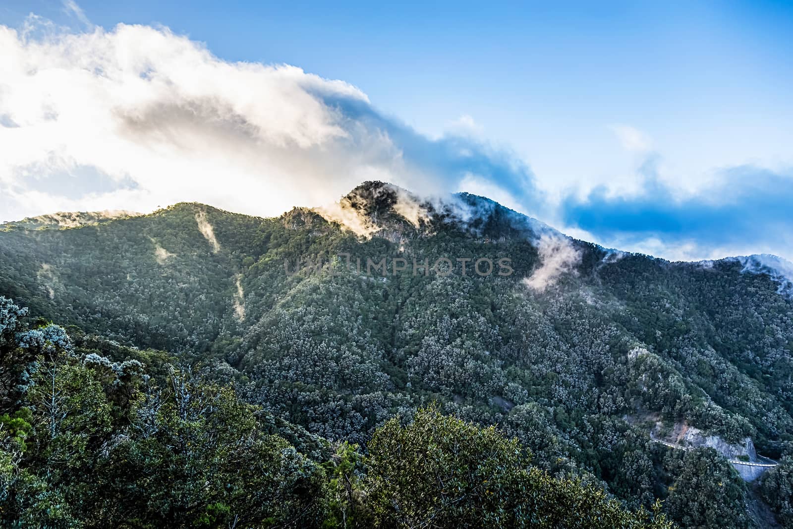 Green mountains with white clouds on blue sky landscape in Tenerife Canary island, Spain