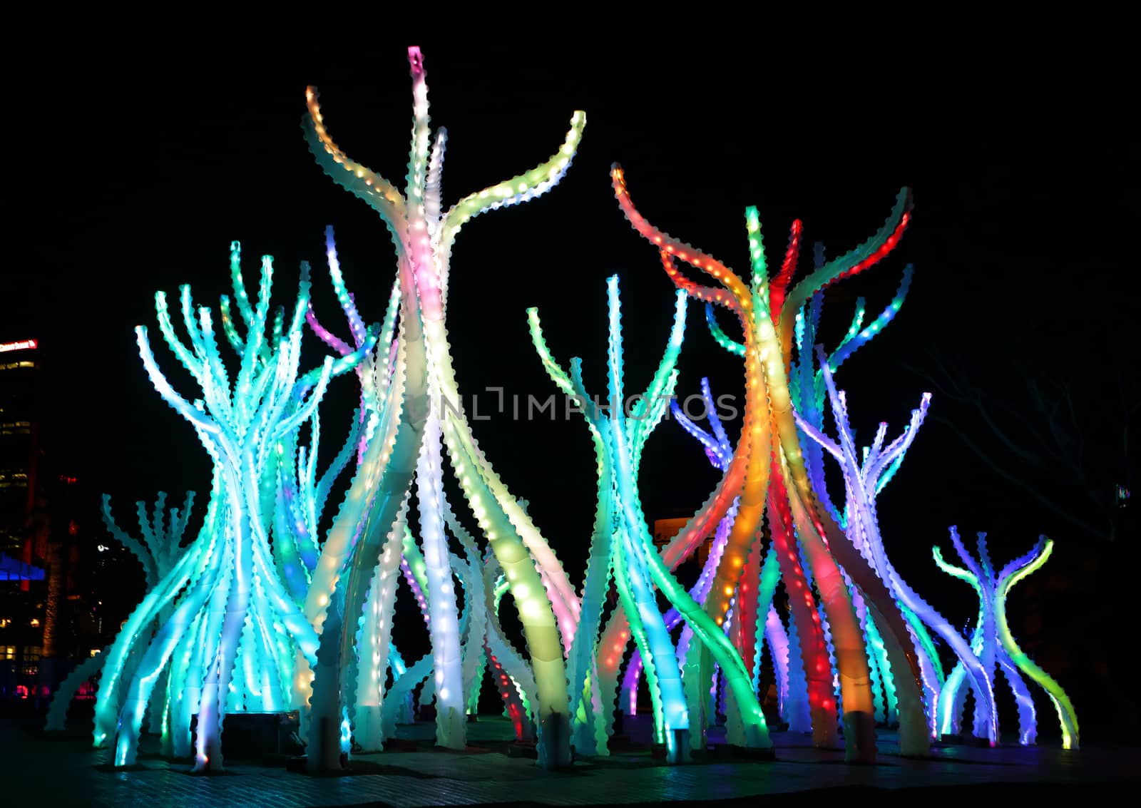 SYDNEY, AUSTRALIA - MAY 27, 2015; Looking up at the looming Arclight structures that resemble native mangroves.  Some pieces are large enough to walk between and under and be bathed in their soft light among their twisting stems.  