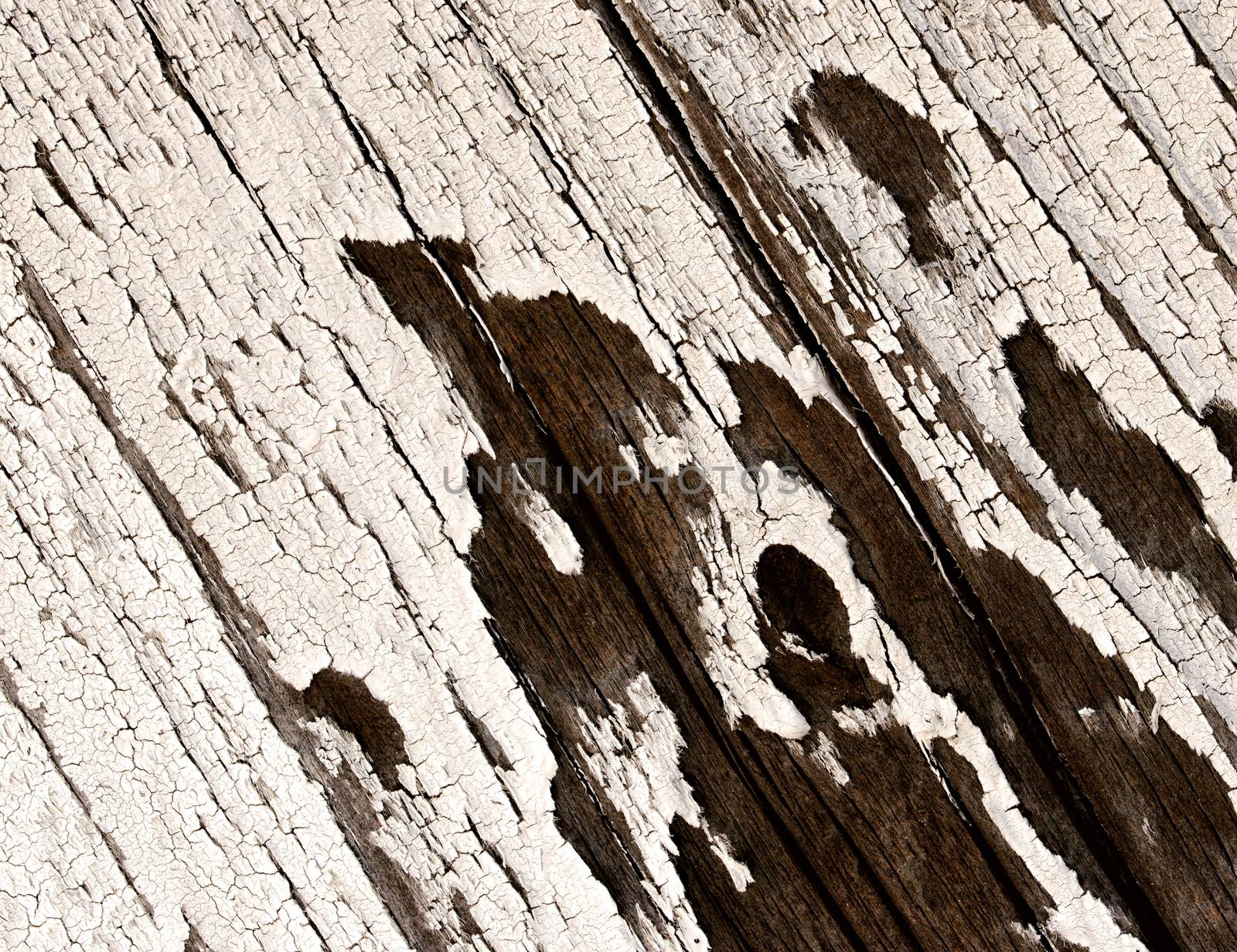 abstract background or texture old white paint on a wooden board
