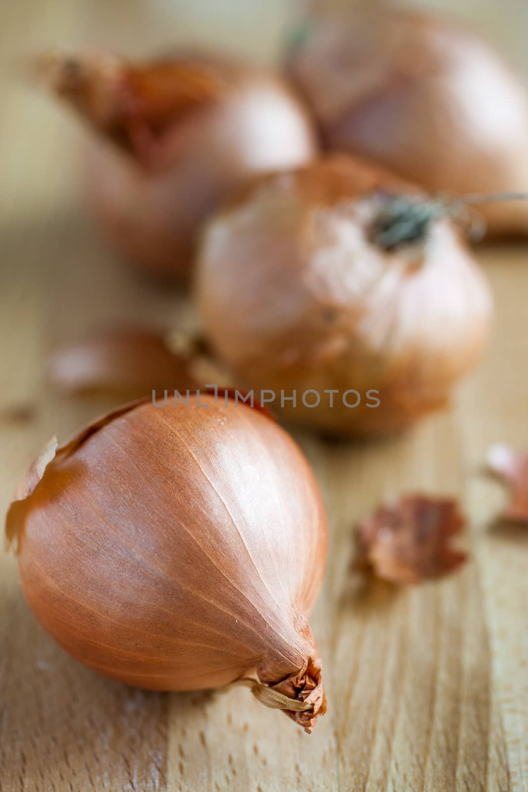 Fresh shallots on a wooden cutting board in the sunlight.