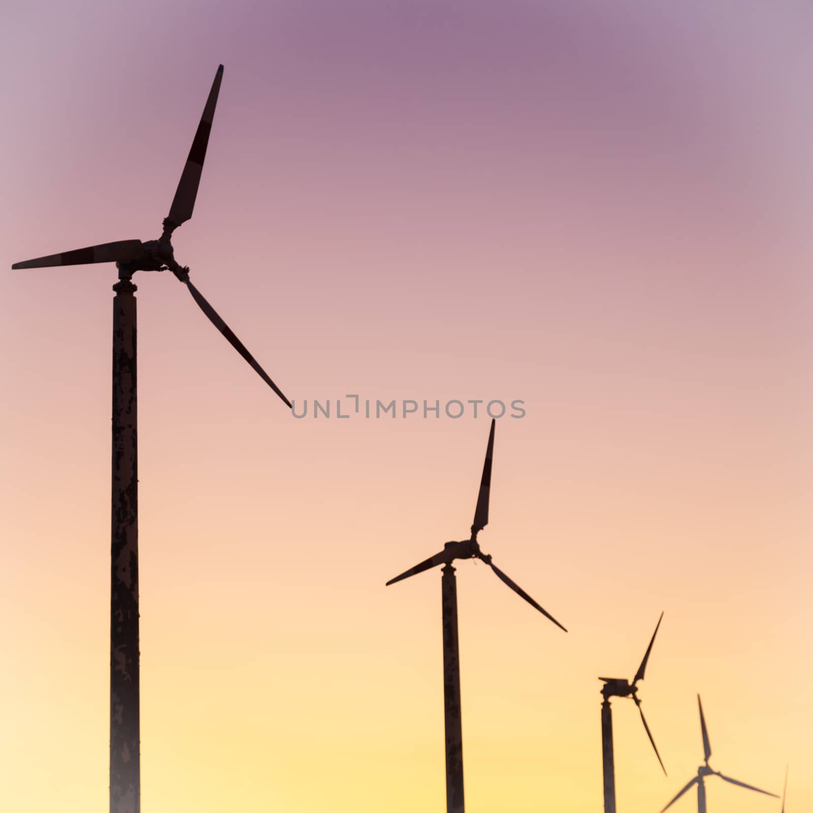 Wind turbines. In the evening, the sun began to darken.