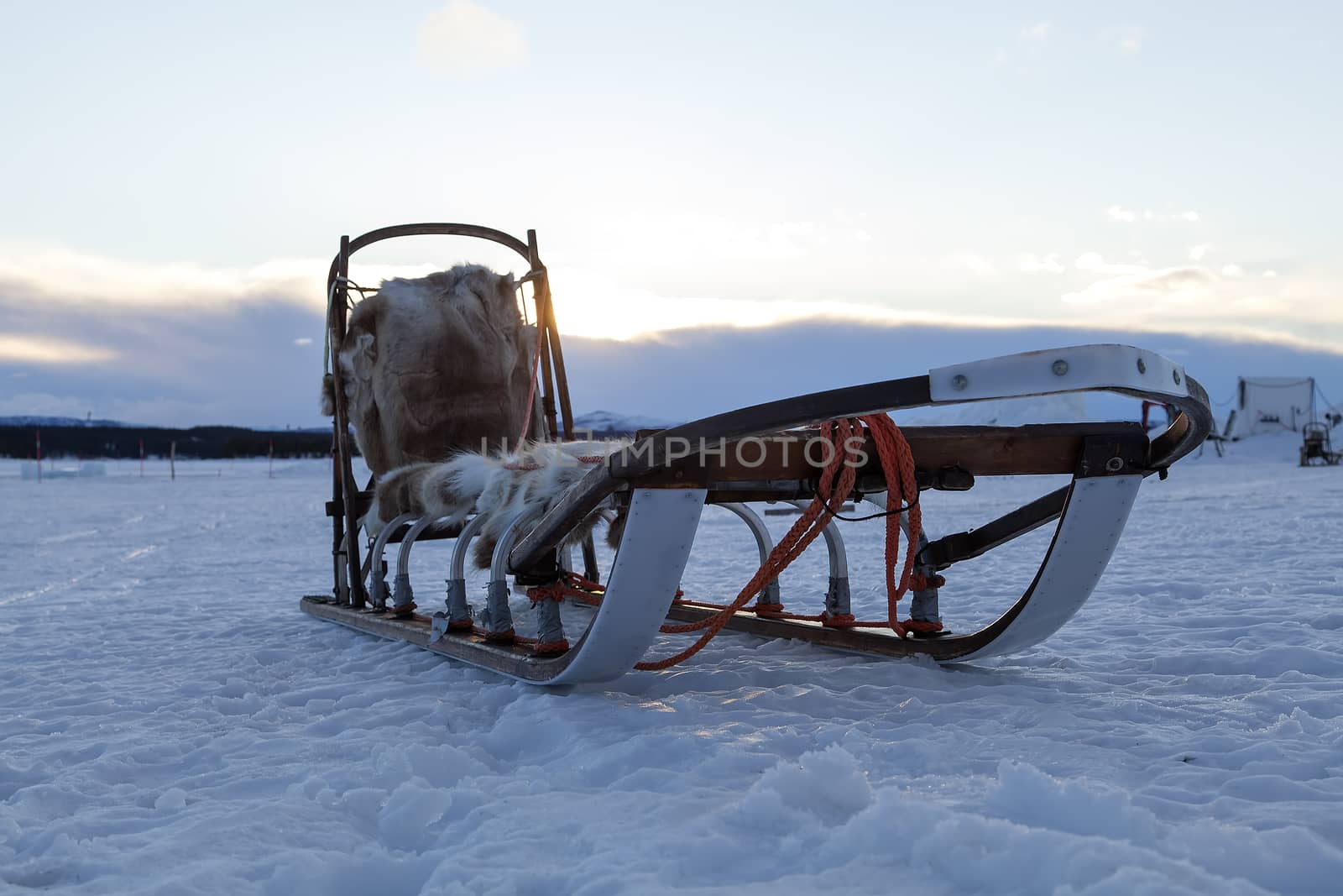 A sledge for dog races by lasseman