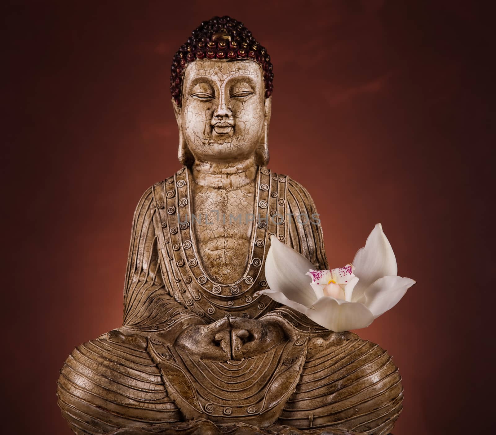 Buddha statue with orchid flower