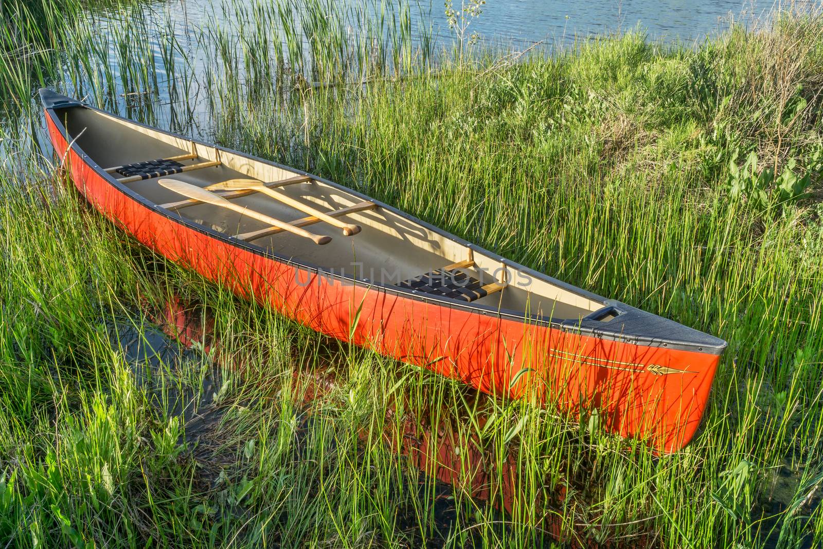red canoe with wooden paddles on a grassy lake shore