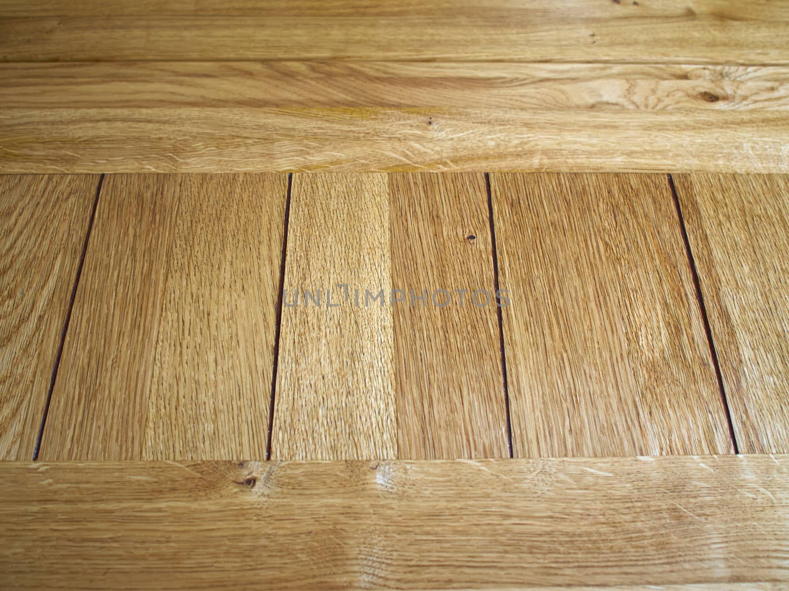 Oak Texture wooden board in a closeup view 
