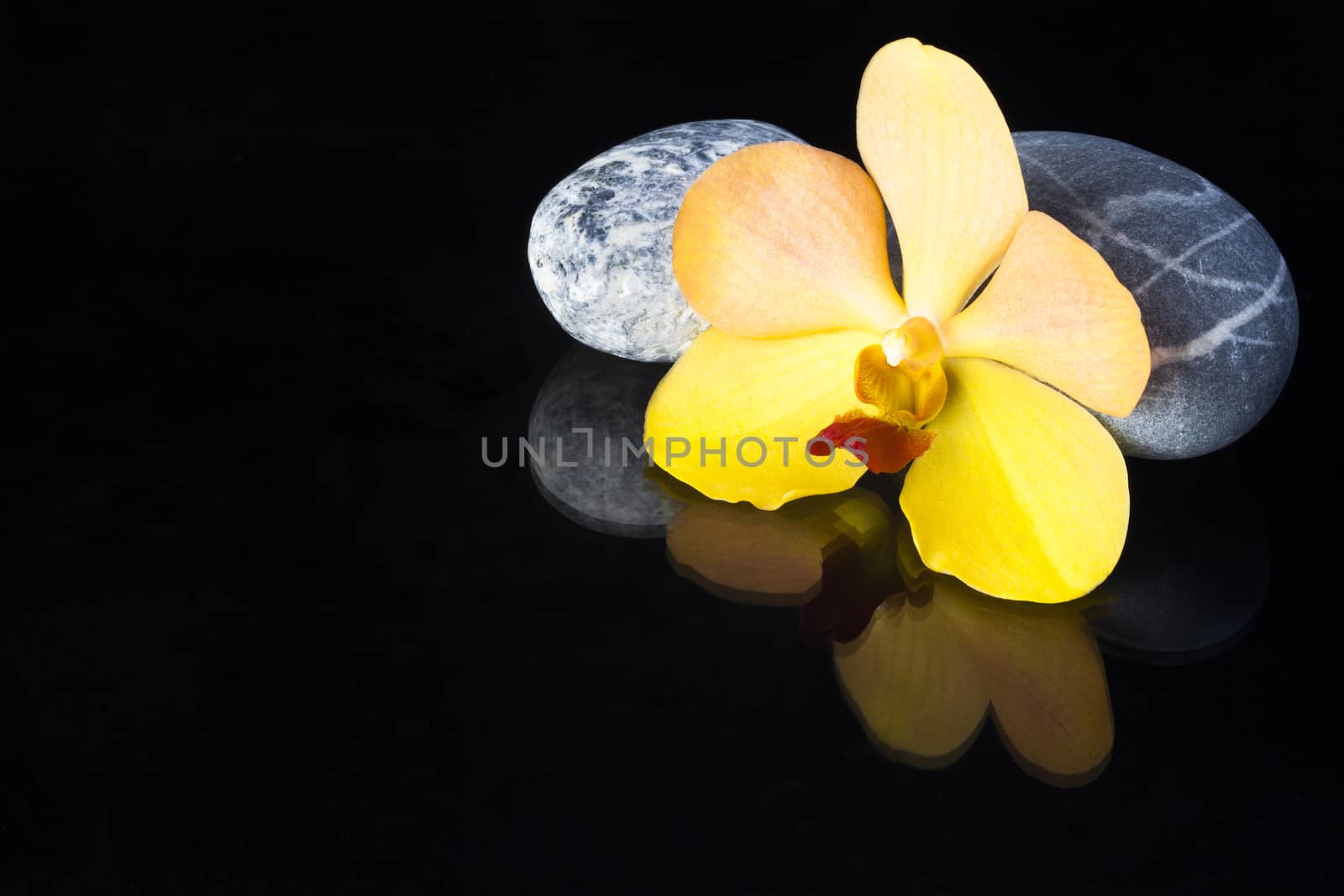 zen basalt stones and orchid isolated on black