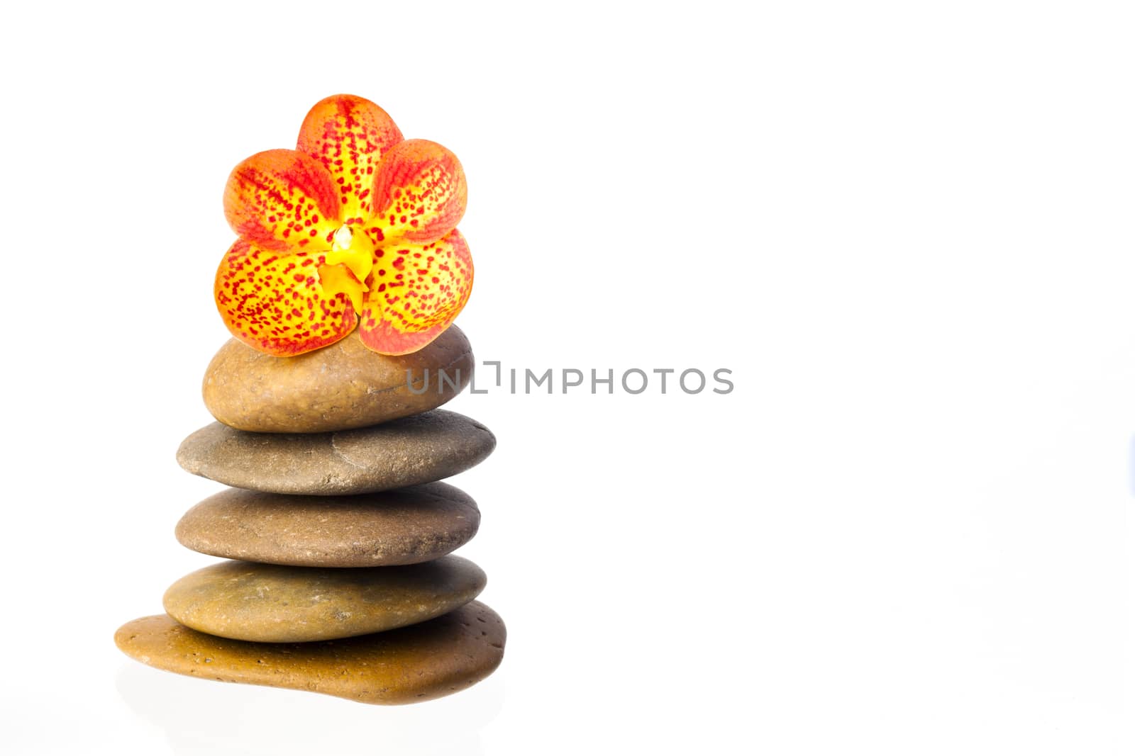 zen basalt stones and orchid isolated on white