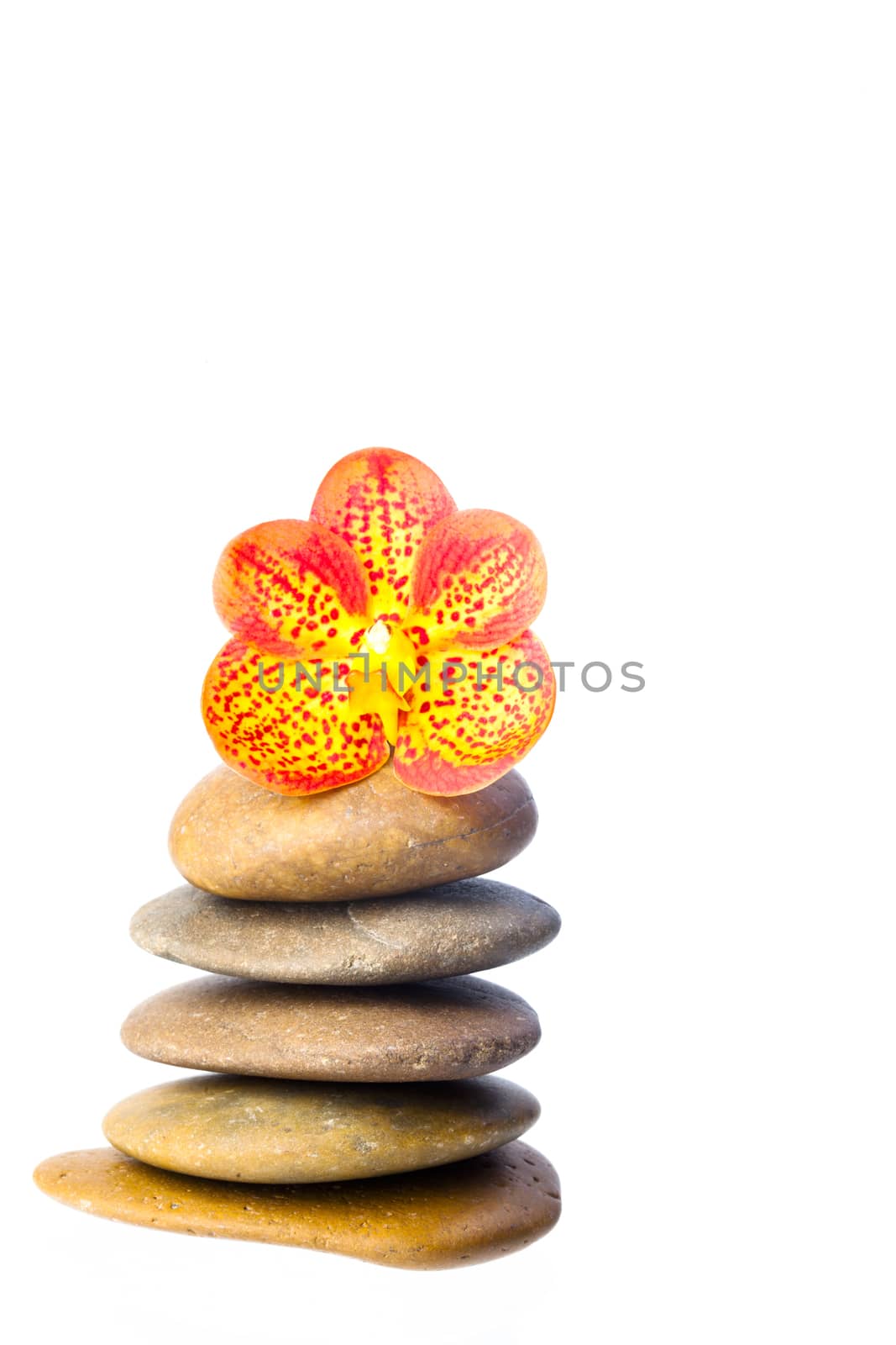 zen basalt stones and orchid isolated on white