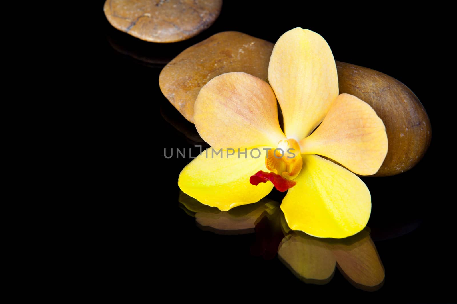 zen basalt stones and orchid isolated on black.