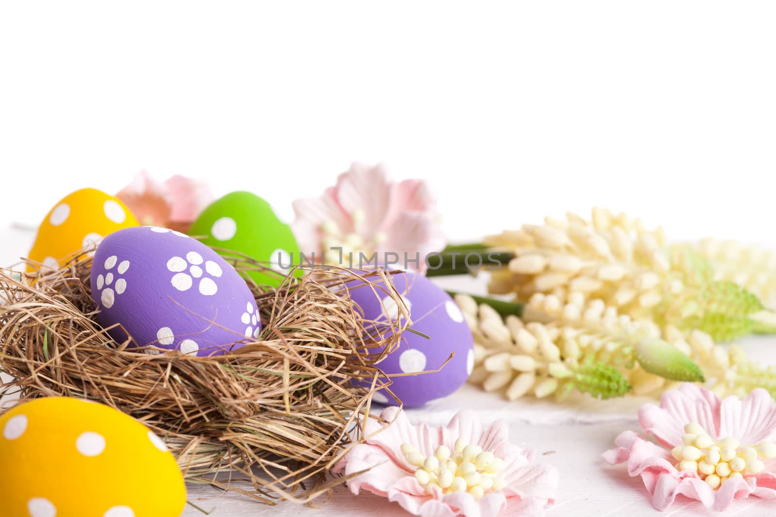 Easter Eggs with Spring Flowers. studio shot