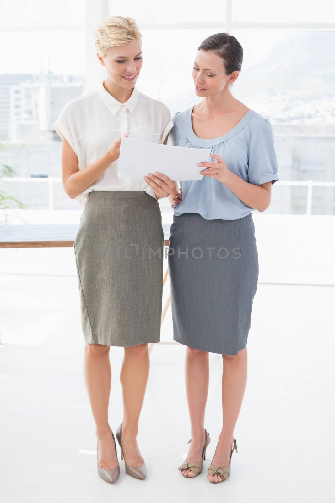 Businesswomen working together in an office