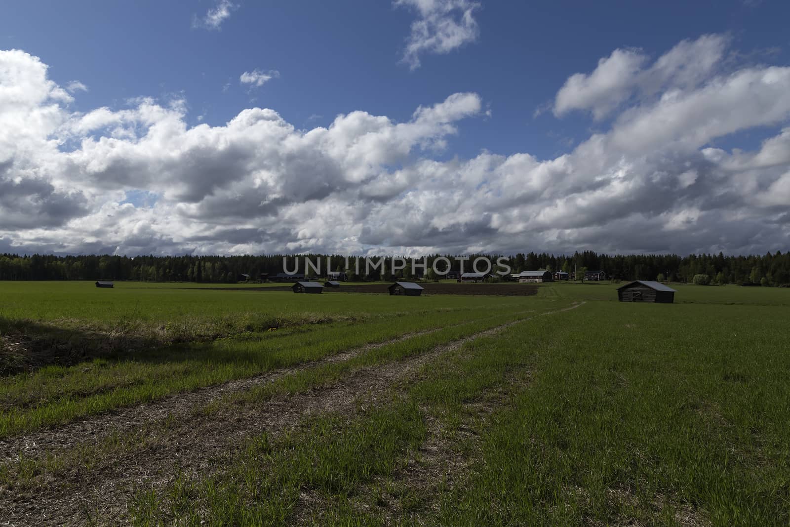 A road on a contryside landscape with some barns and houses