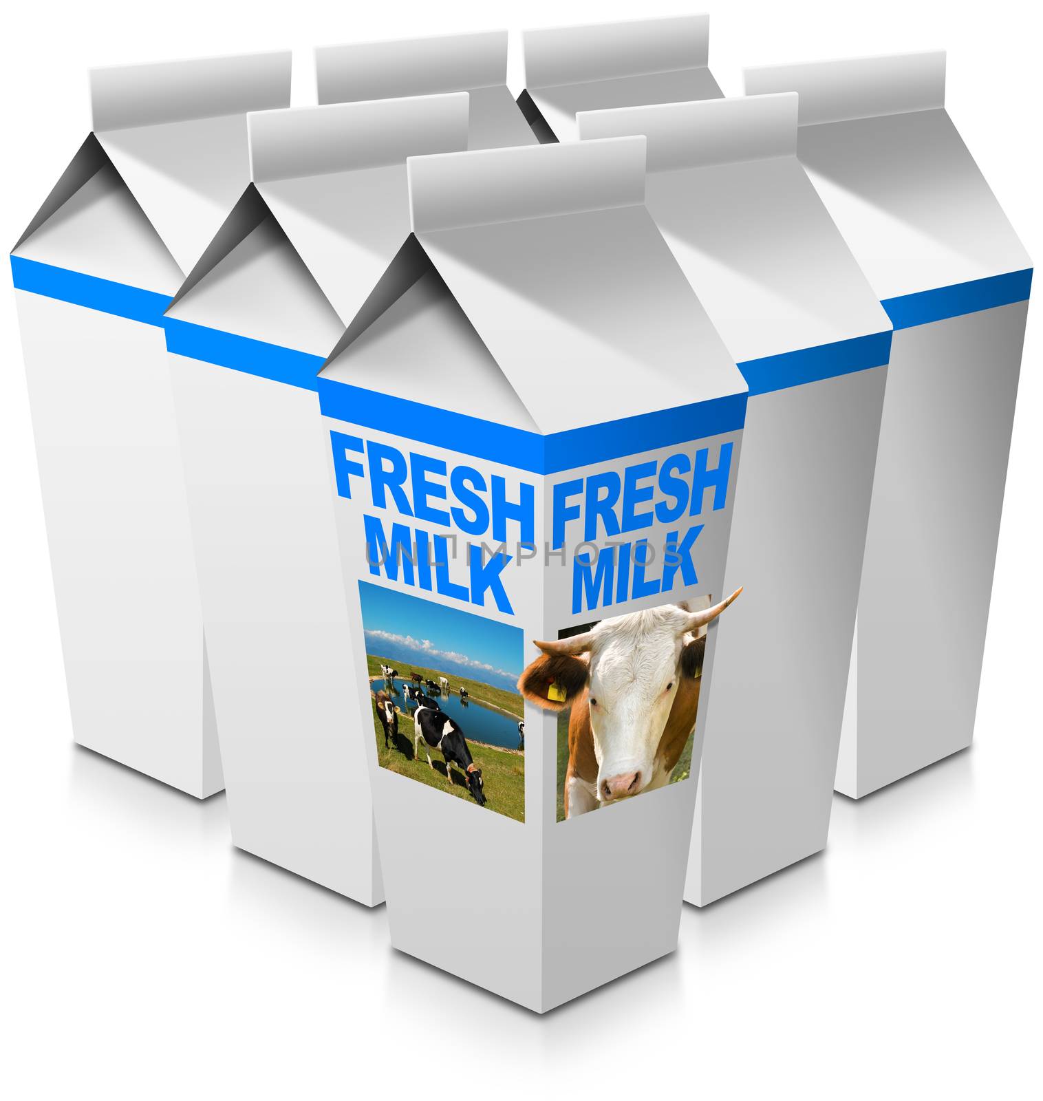 Group of milk packaging with text Fresh milk, head of cow with horns and a herd of spotted cows grazing. Isolated on white background