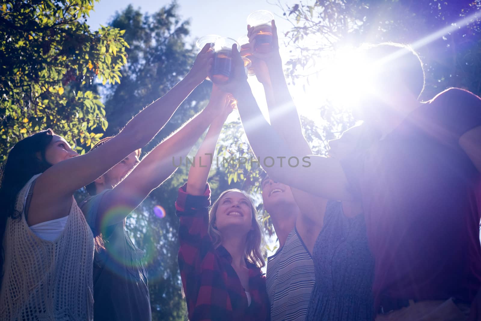 Happy friends in the park having beers by Wavebreakmedia