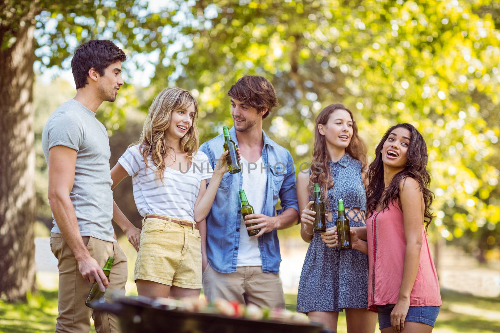 Happy friends in the park having barbecue by Wavebreakmedia