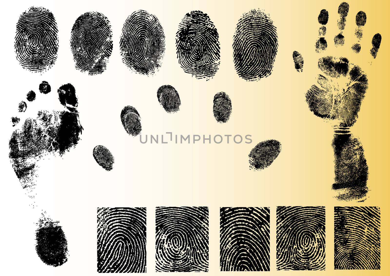 Black and White Vector Fingerprint and footprint elements - Very accurately scanned and traced ( Vectors are transparent so it can be overlaid on other images, vectors etc.)

