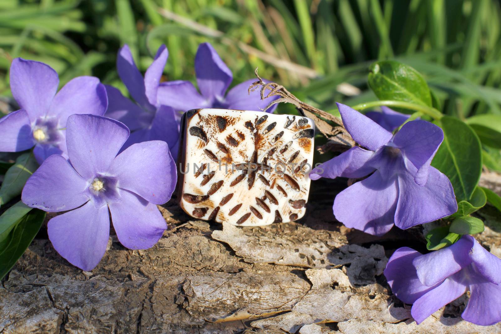 Handmade bone ethno ring with wood violet in spring on the nature background