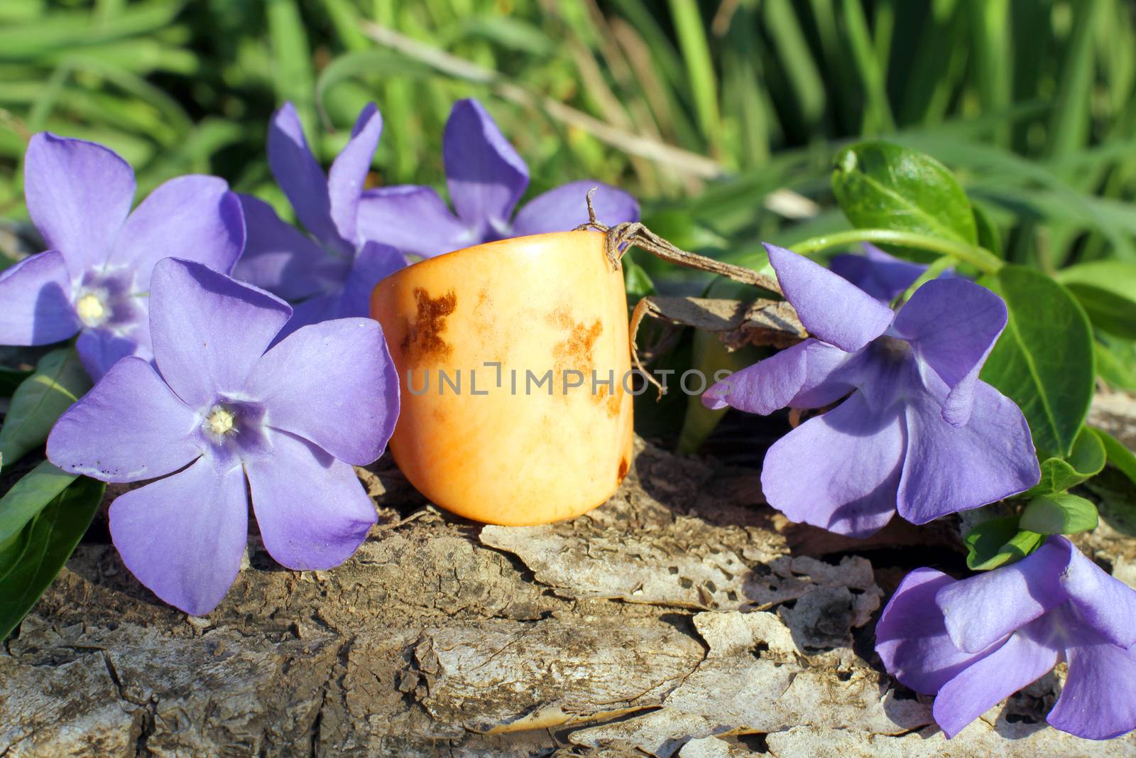 Handmade bone yellow ring with wood violet in spring on the nature background