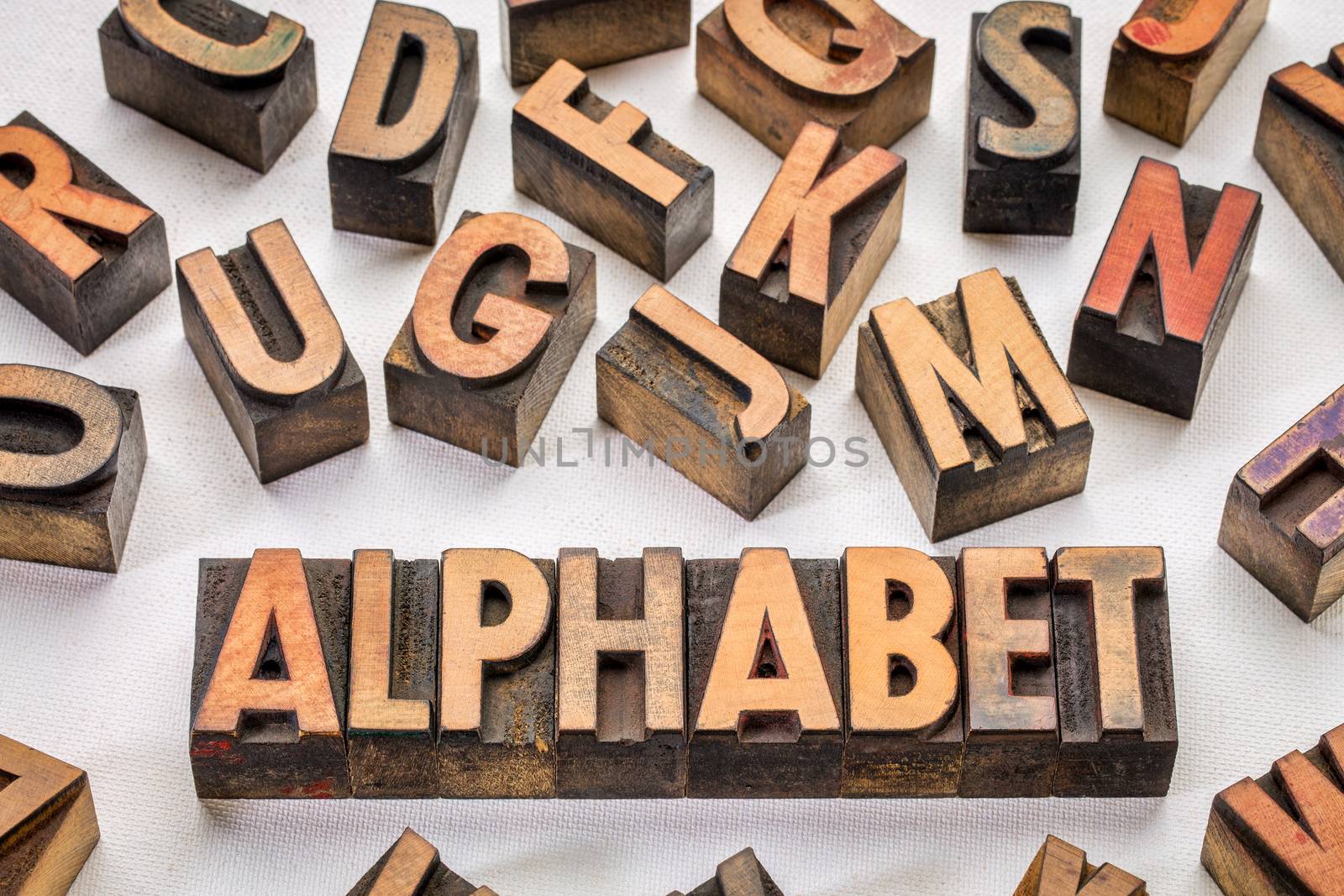 alphabet word typography in vintage wood type printing  blocks against artist canvas