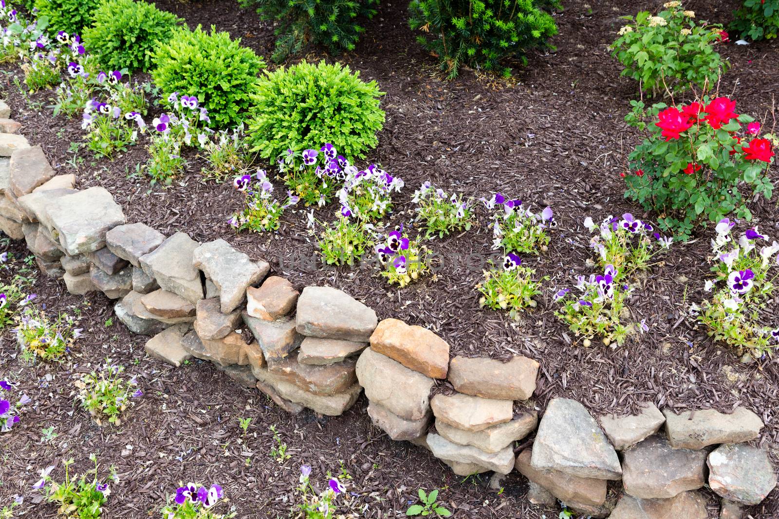 Natural rock retaining wall in a garden with rough rocks and stones arranged in a curve for a formal raised bed of flowering plants in a garden landscaping concept