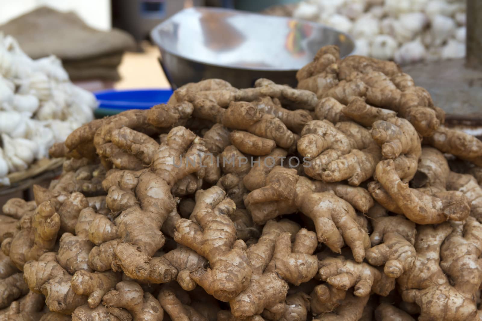 Fresh juicy ginger on a counter in the market of India of Goa.