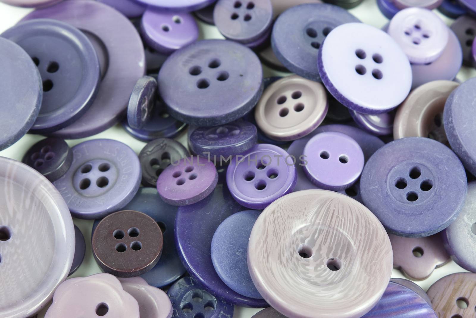 Close up of various purple button scattered on a white surface.