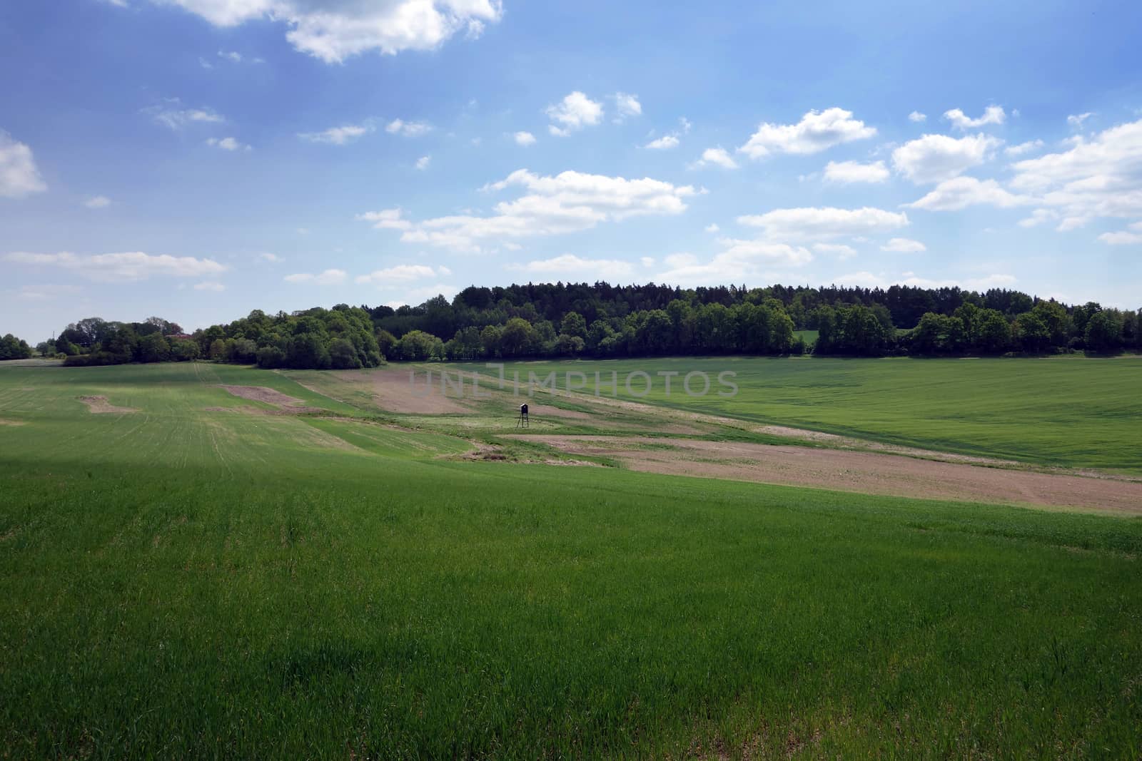 Landscape in the south of Czech Republic