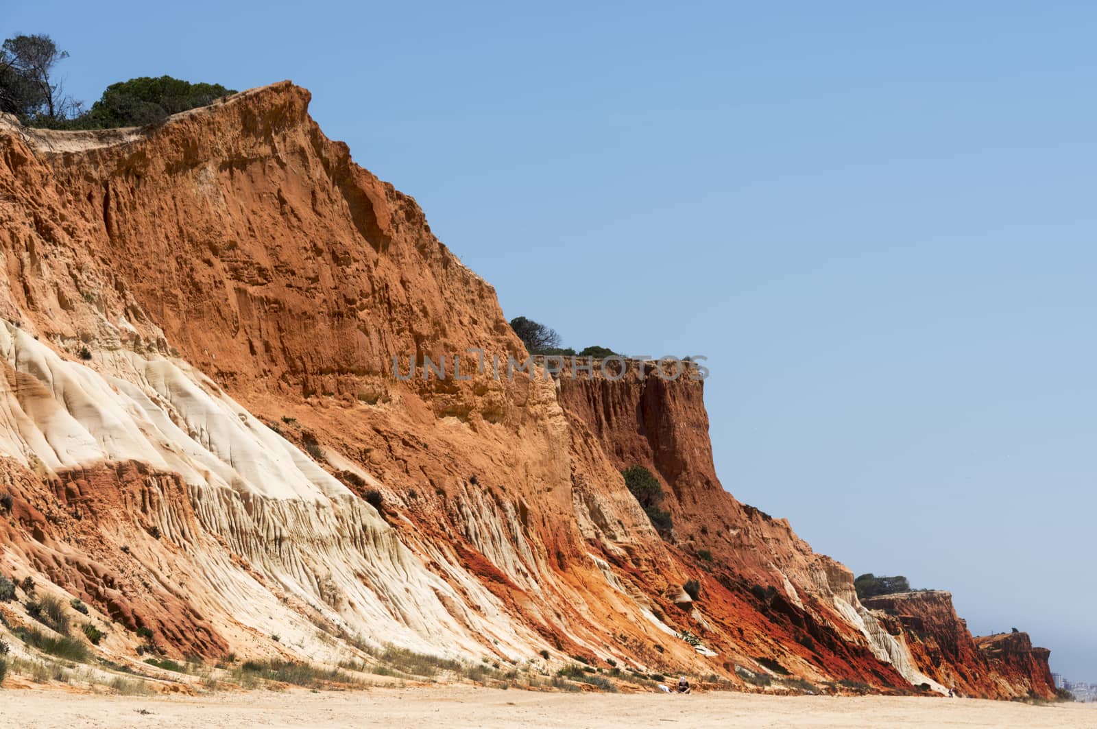 Cliffs at Praia da Falesia by compuinfoto