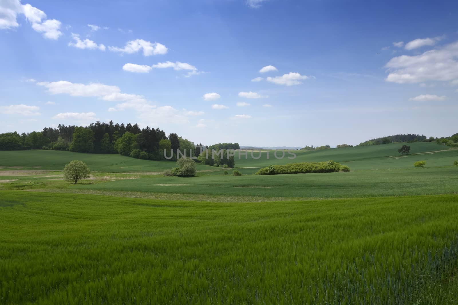 Landscape in the south of Czech Republic