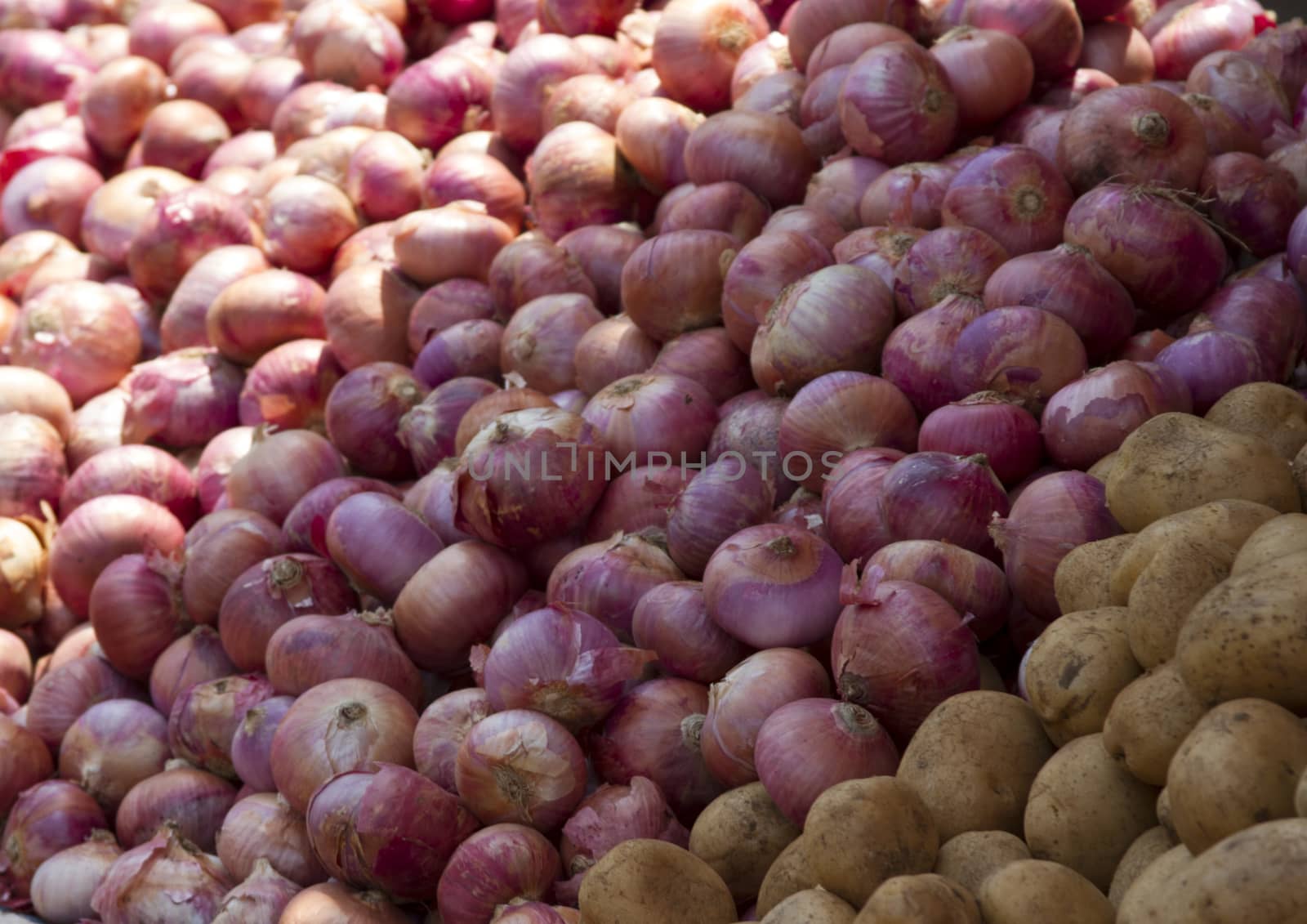 Fresh juicy vegetables on a counter in the market of India of Goa by mcherevan