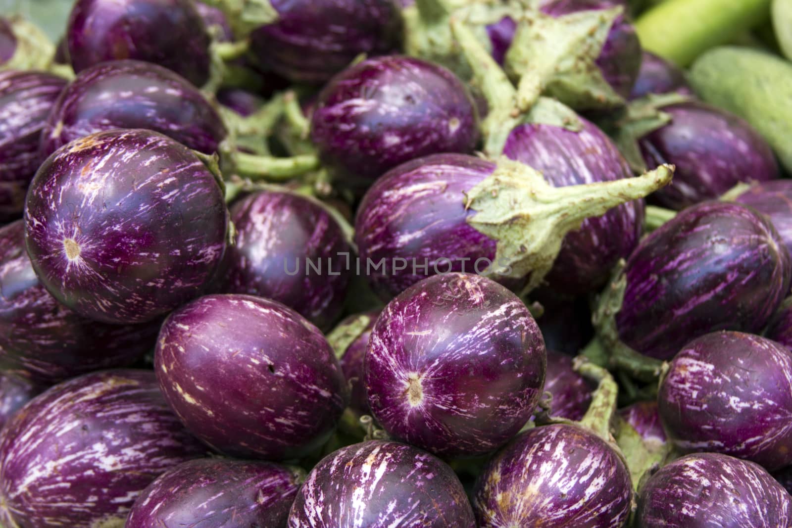 Fresh juicy aubergine on the counter in India Goa.