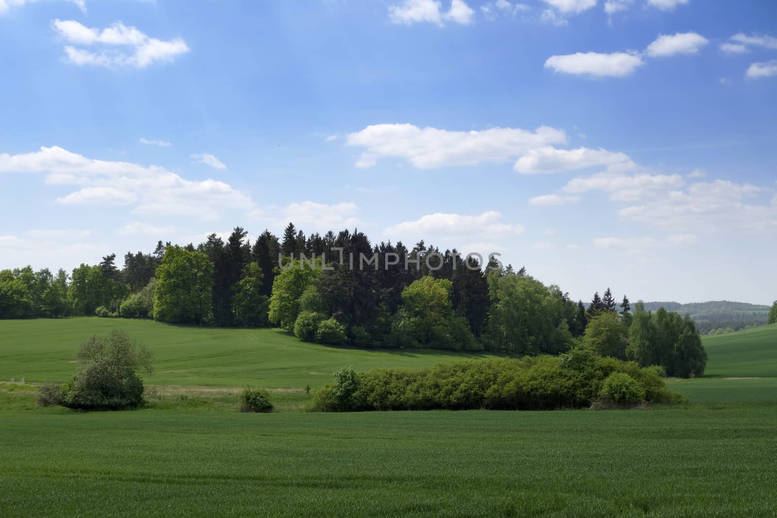 Landscape in the south of Czech Republic