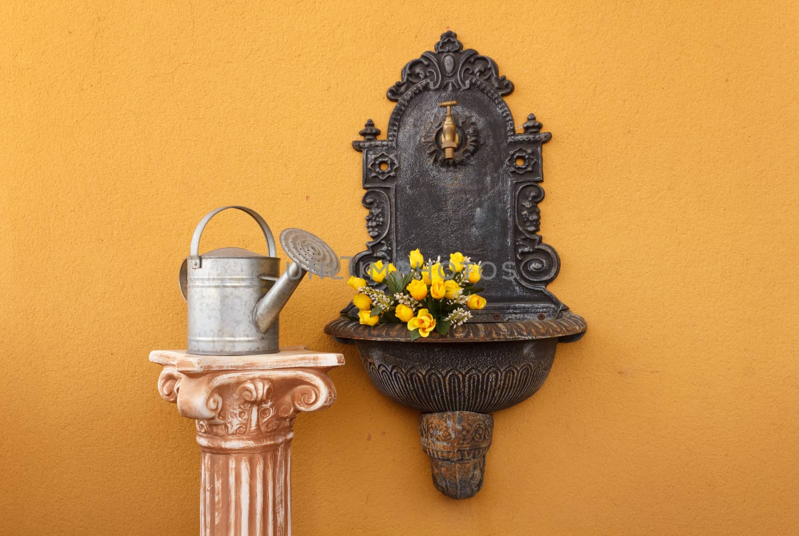 cast iron wall fountain flanked by a greek ionic column  above  with a watering can to water the roses