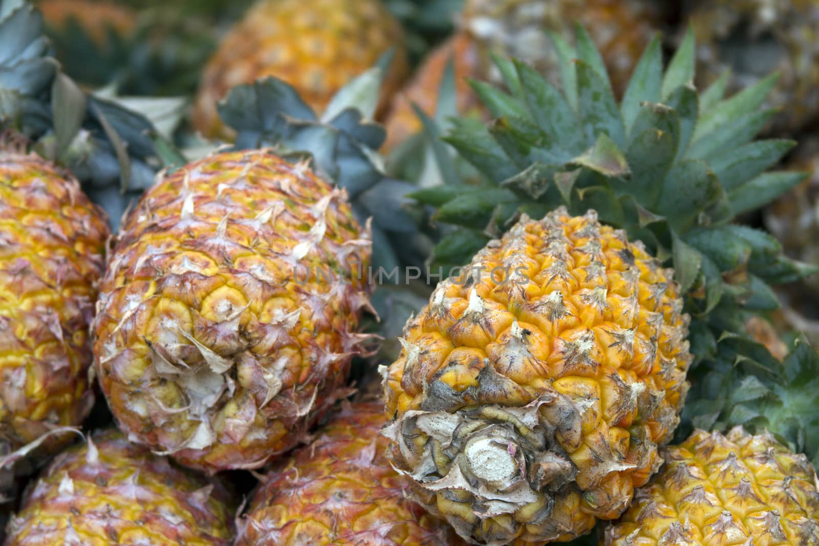 Fresh juicy pineapple on the market in India Goa by mcherevan