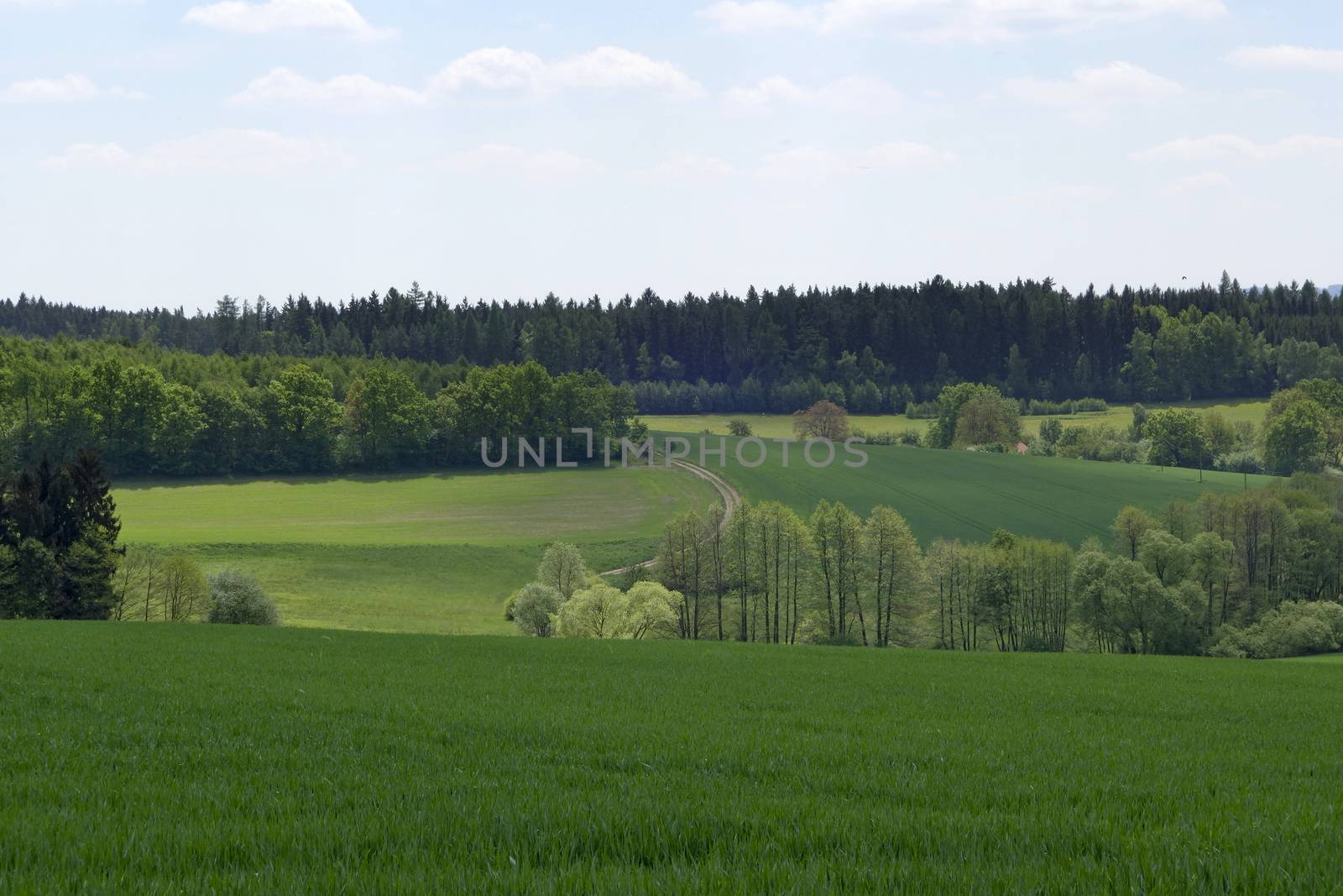 Landscape in the south of Czech Republic