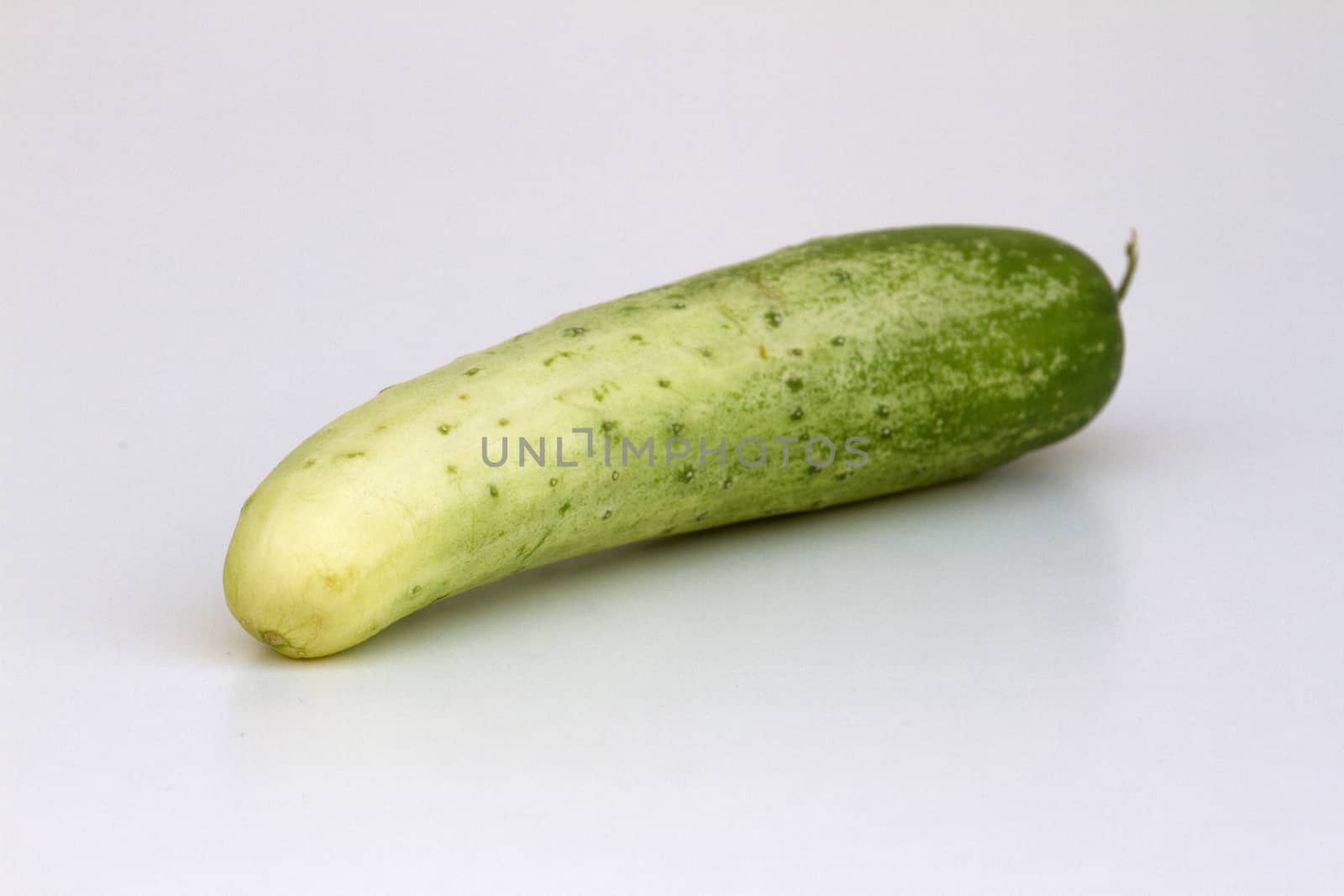 A fresh and tasty green vine ripened garden grown cucumber isolated on white by mcherevan