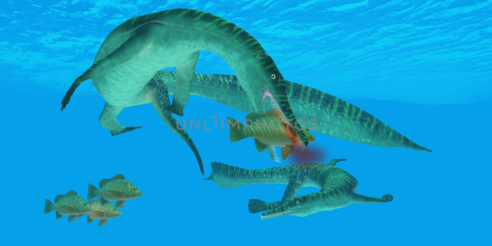 Mesosaurus marine reptile attacks a Mangrove Jack Snapper fish in a Permian ocean. 