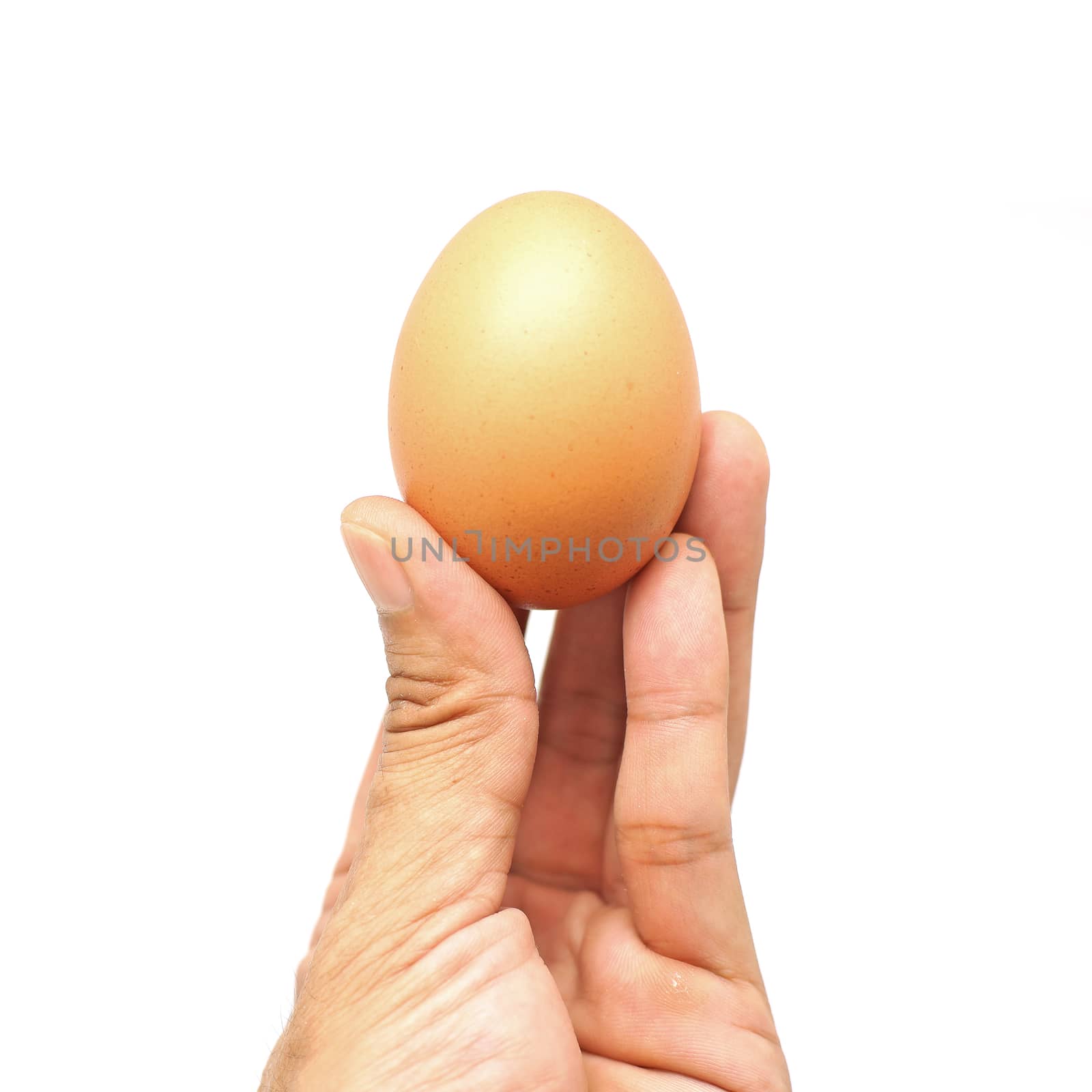 egg in male hand isolated on white background
