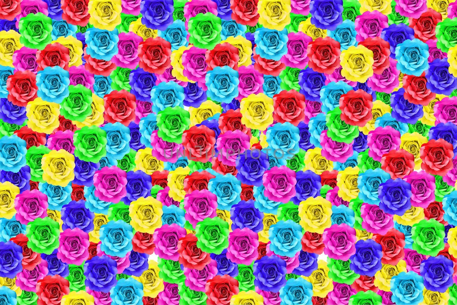 colorful rose flower as floral background  