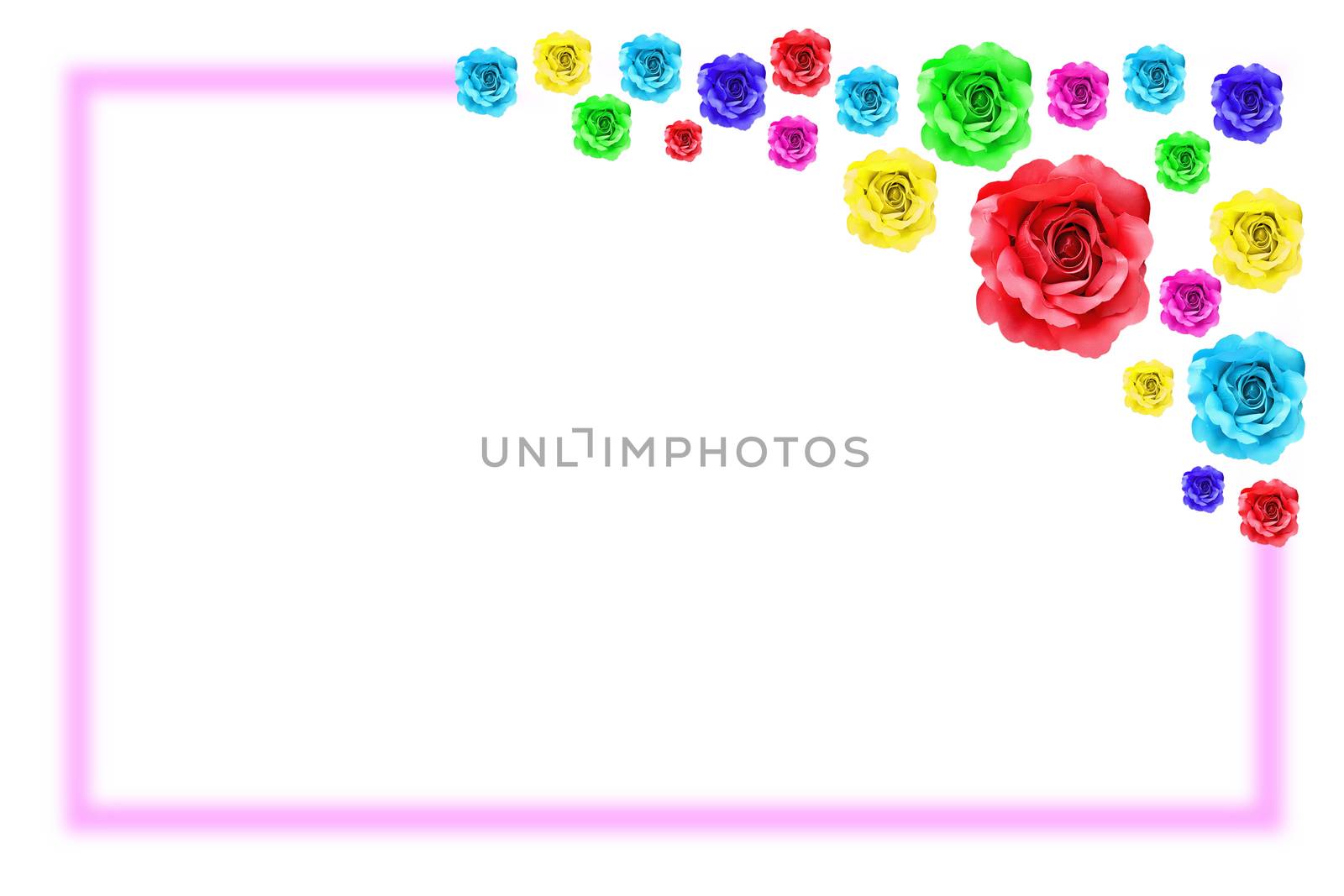 colorful rose flower frame on white background  
